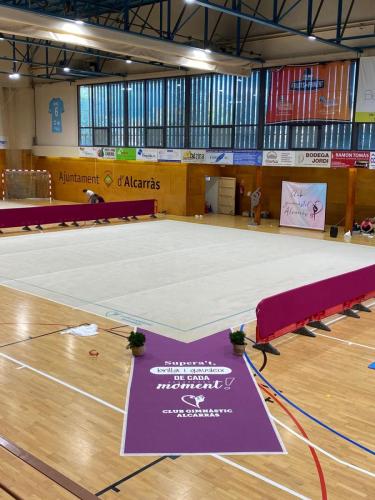 TAPIZ-RITMICA-ALCARRAS